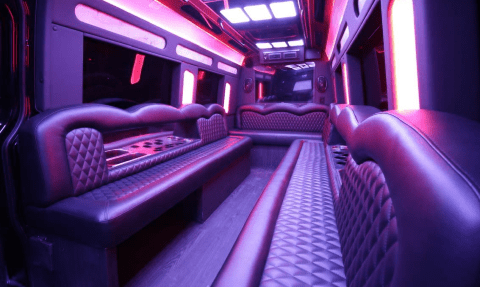 Killeen 14 Passenger Sprinter Bus Interior